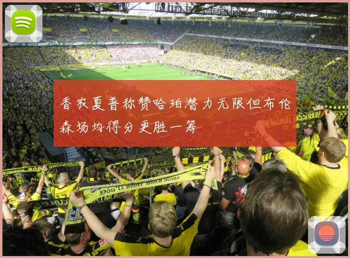 香农夏普称赞哈珀潜力无限但布伦森场均得分更胜一筹